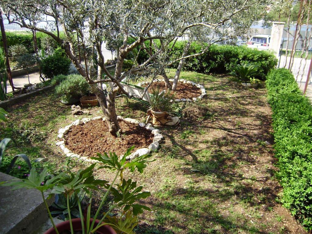 Apartments Kapetanovi Dvori تروغير الغرفة الصورة